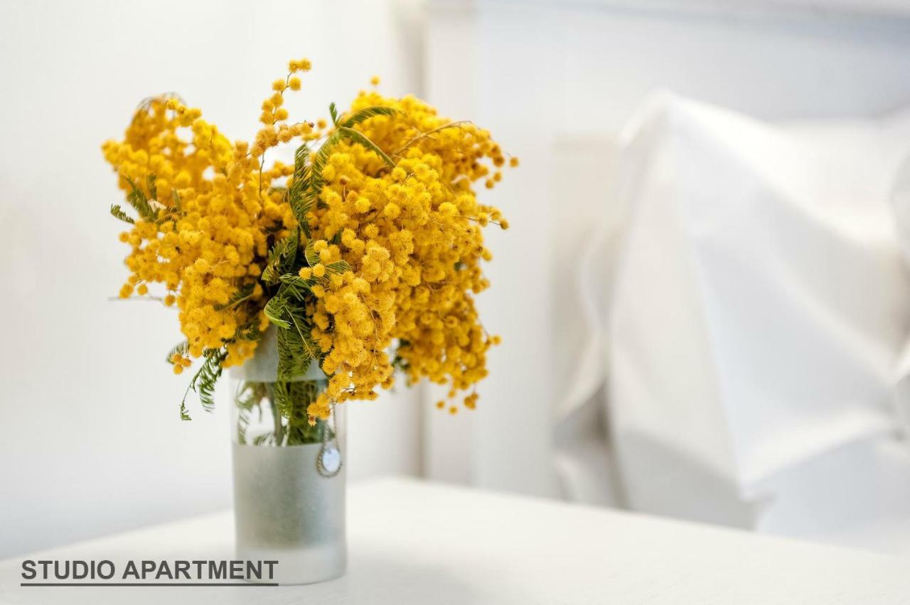Apartments Rialto Gallery Sibenik Ngoại thất bức ảnh